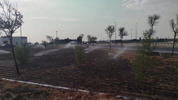 Avtomatik sulama sistemi – sprinklər və ana xətt sistemi