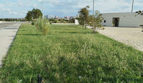 Qazon Örtüyü işləri