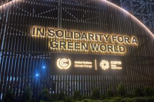 COP 29 Birləşmiş Millətlər Təşkilatının İqlim Dəyişmələri Konfransı