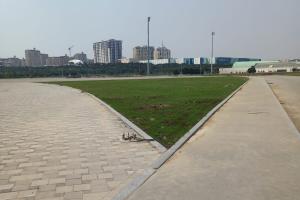 COP 29 Birləşmiş Millətlər Təşkilatının İqlim Dəyişmələri Konfransı