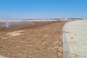 COP 29 Birləşmiş Millətlər Təşkilatının İqlim Dəyişmələri Konfransı