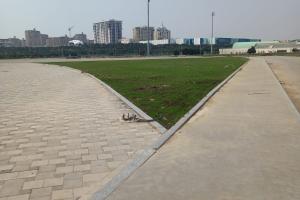 COP 29 Birləşmiş Millətlər Təşkilatının İqlim Dəyişmələri Konfransı