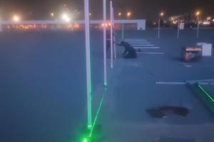 Dəmir konstruksiya və Polikarbonat qurlaşdırılma işləri