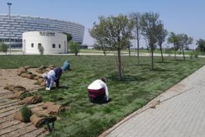 Qazon Örtüyü işləri